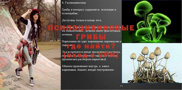 эйфоретик Абинск