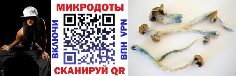 Галлюциногенные грибы мицелий  omg ссылки  Жердевка  где найти наркотики 